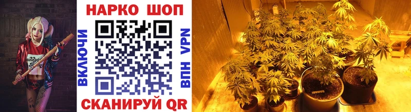 Где можно купить наркотики Мурино ГАШИШ МАРИХУАНА АМФЕТАМИН Alpha PVP Мефедрон КОКАИН