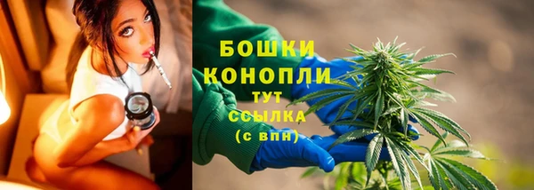 дурь Кинешма