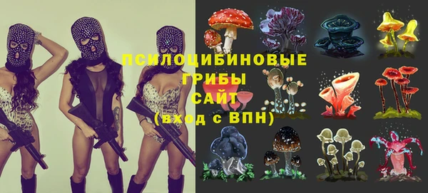 молекула духа Касимов