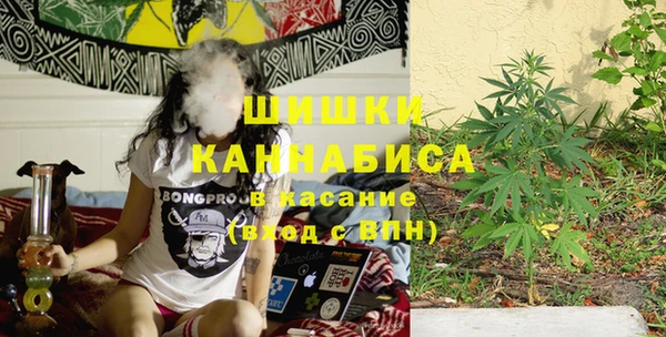дурь Кинешма