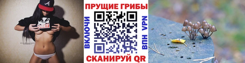 Галлюциногенные грибы мицелий  блэк спрут tor  Мурино 