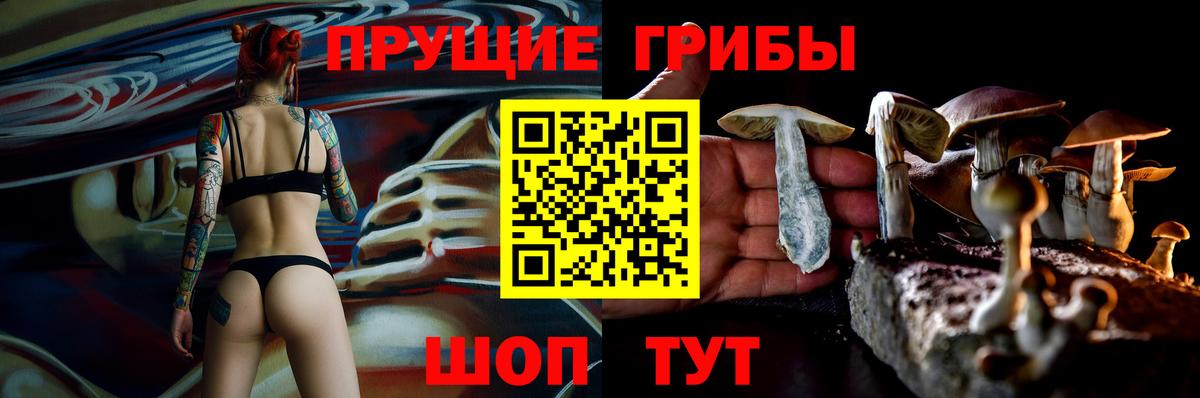 Мурино  Псилоцибиновые грибы прущие грибы  купить наркотики сайты  Вход с VPN 