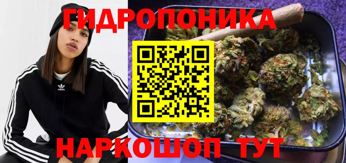 Конопля индика Мурино